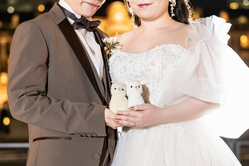 思い出のアルパカの人形