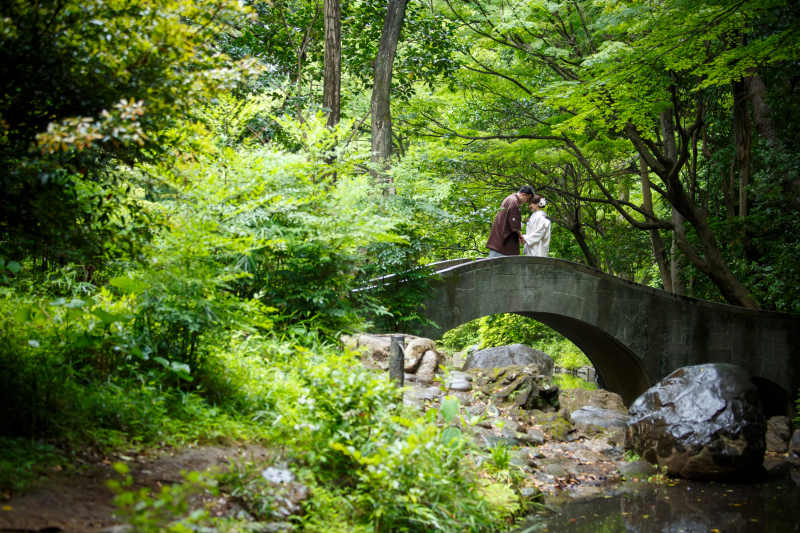 引きで現れる雰囲気の違う写真