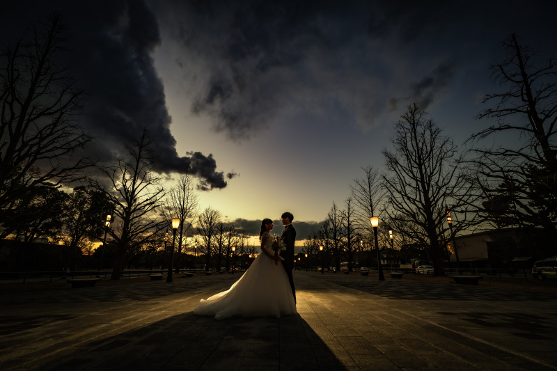 まるでアートのような・・・・