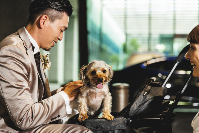 ペットと一緒で和やかなロケを!