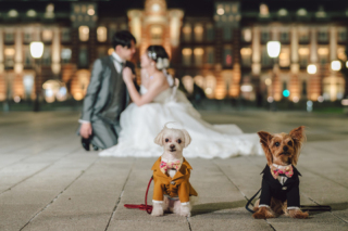 大切なペットと一緒に大切な写真を無料で撮影します！