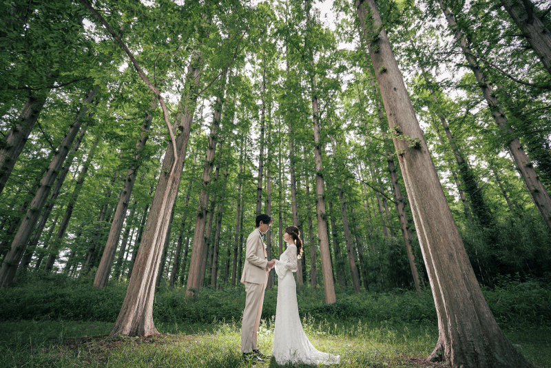 年内撮影限定!スタジオ撮影+アルバム付き☆【洋装・森ロケーション撮影/水元公園など】◎124800円→69,800円