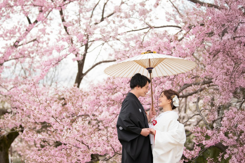 【返金保証付】期間限定・スタジオ＋アルバム付☆【和装・河津桜ロケ撮影プラン】◎174800円⇨109800円