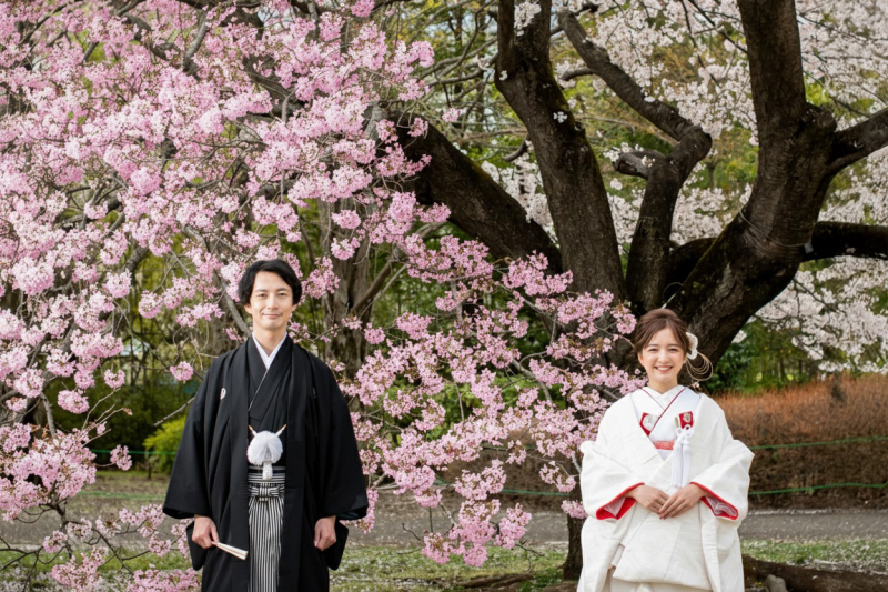 【返金保証付】期間限定・スタジオ＋アルバム付☆【和装・河津桜ロケ撮影プラン】◎174800円⇨109800円