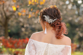 ヘッドアクセサリー