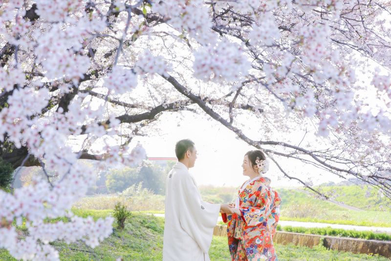 桜に囲まれての向かい合い