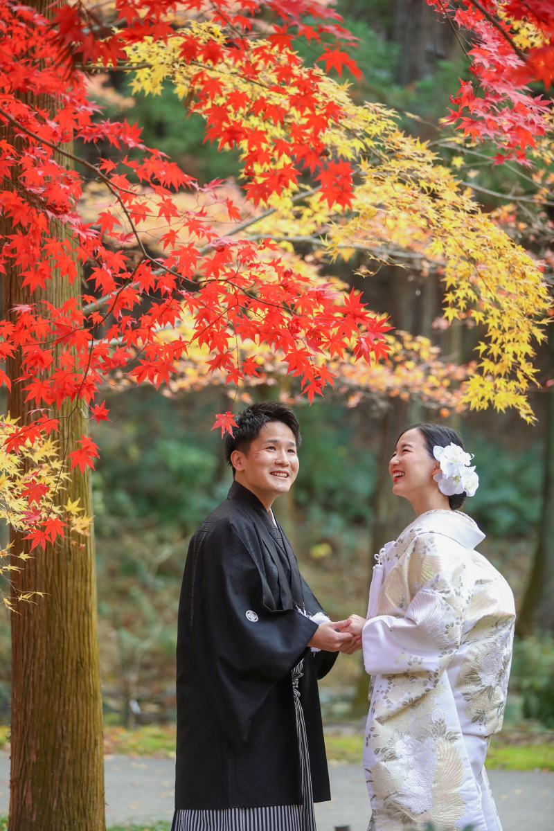 秋を感じる紅葉の撮影スポットで