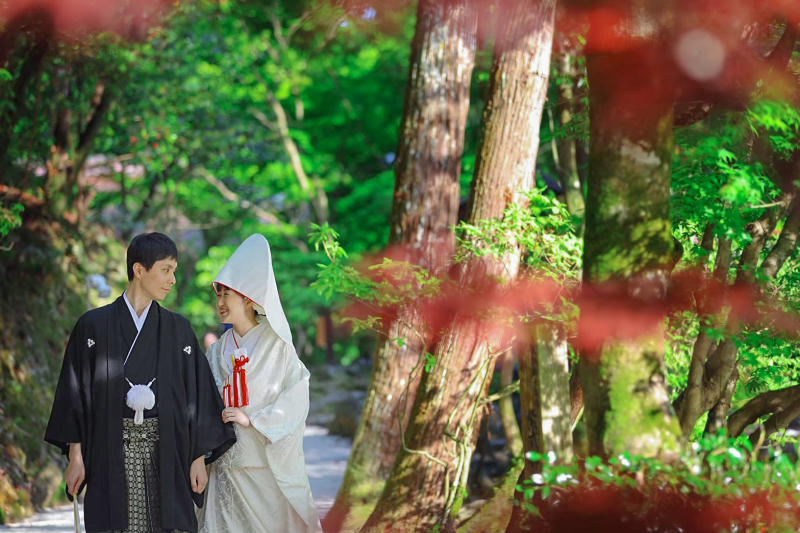 新緑と光のコントラスト