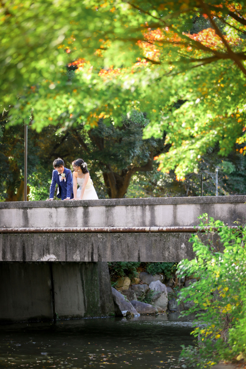新緑の鮮やかな色彩と小川の落ち着いた雰囲気で