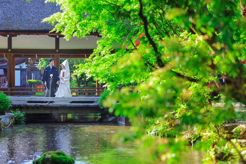 架け橋と一緒に