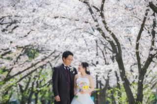 洋装1点ロケーションフォト