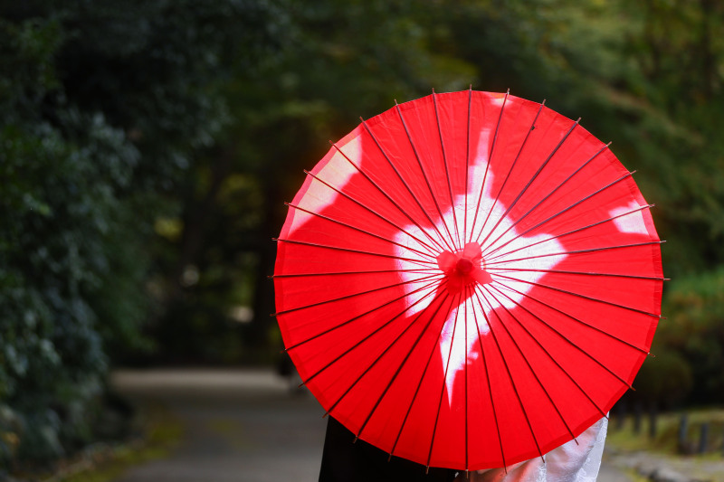 番傘シルエット