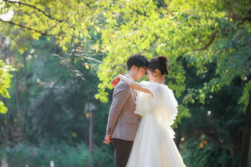 12月の新緑ロケ