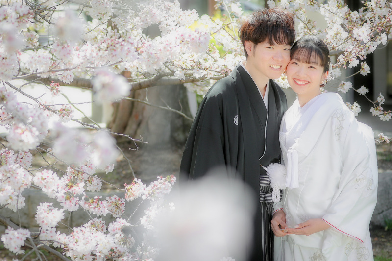 満開の桜に囲まれて華やかなツーショット撮影