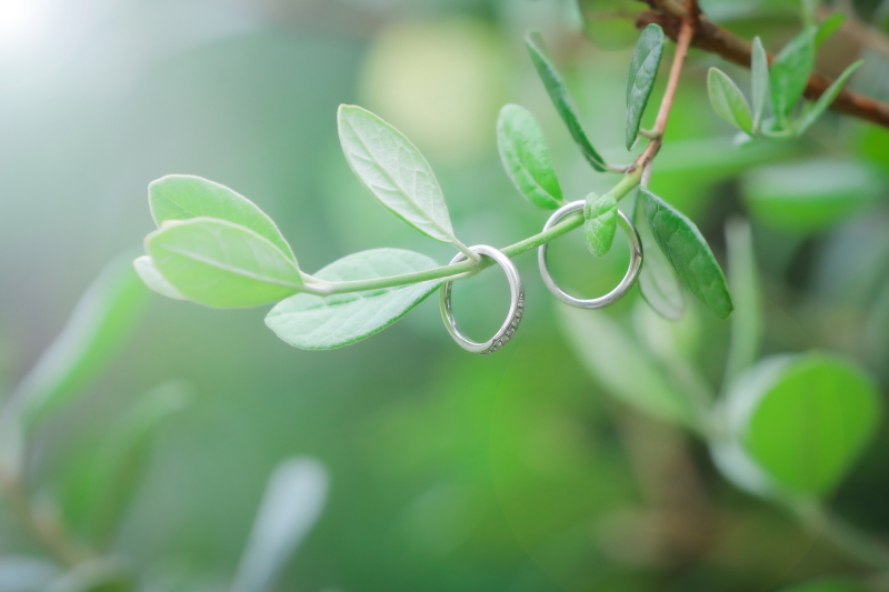 緑に包まれたナチュラルテイストの結婚指輪ショット