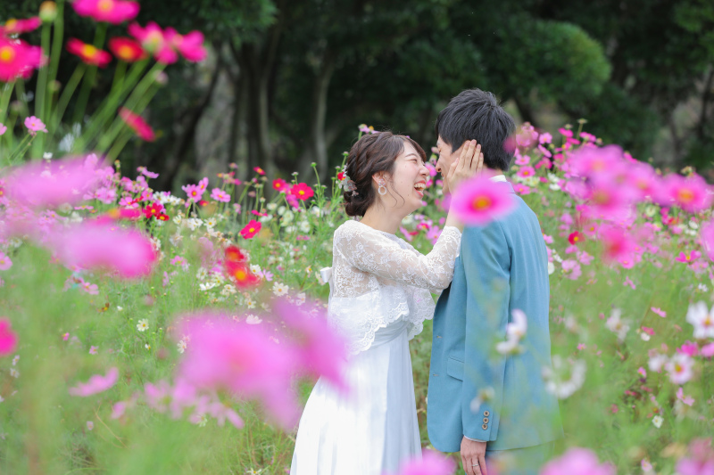 秋桜ショットvo1