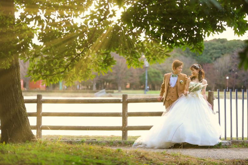 新緑と光のコントラスト