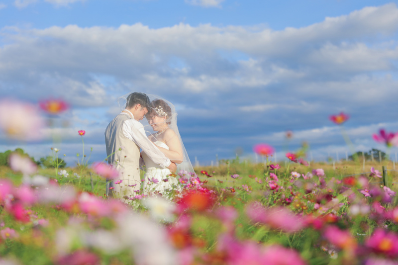 青空と秋桜を入れて