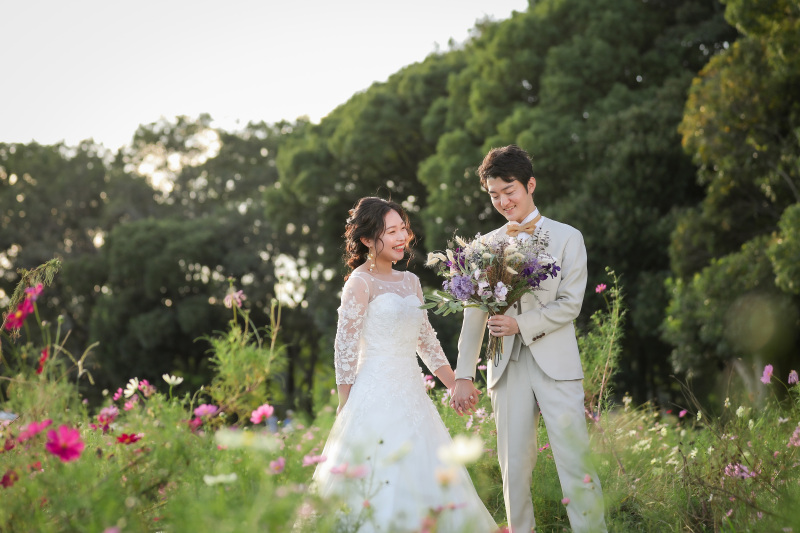 コスモスの中で