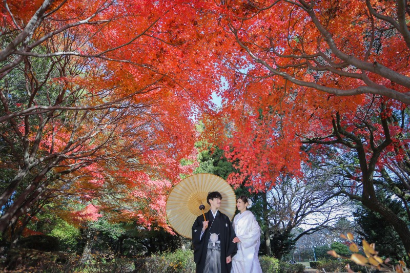 紅葉のトンネルを活かした和装姿の全景構図の撮影!