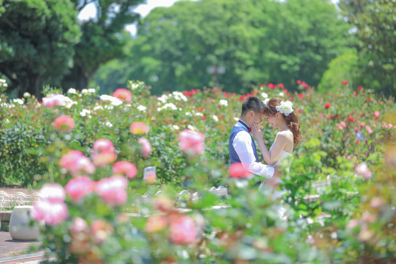 薔薇に囲まれて