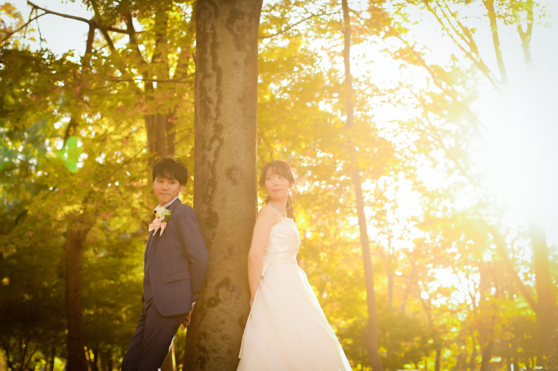 木々の間から差し込む幻想的な光