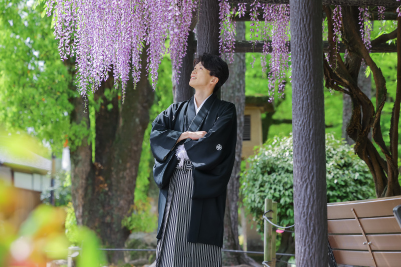 藤棚を見上げる新郎様の凛とした上品な和装ソロ写真