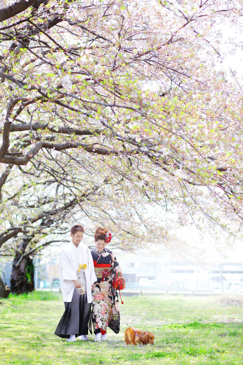 開放的なロケーションでお散歩ショット