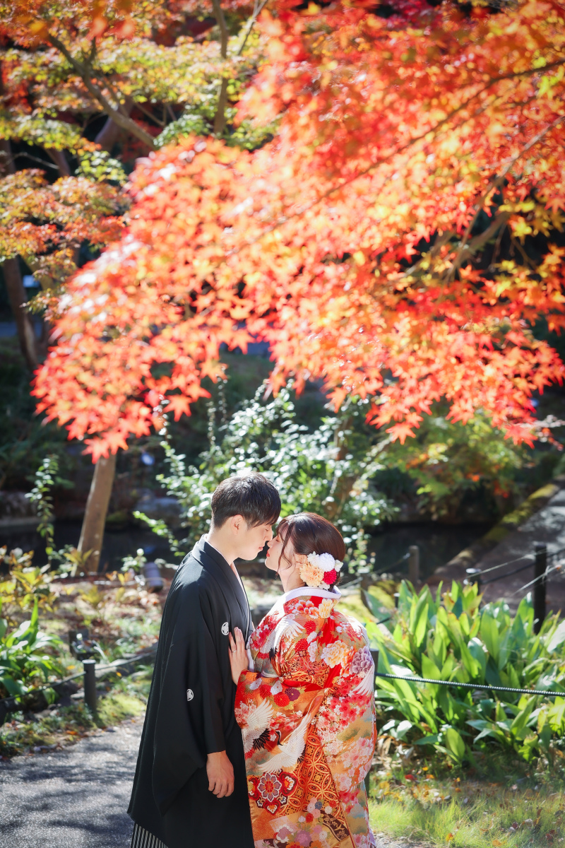 ip-one_色打掛・着物が豊富