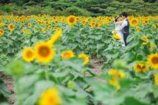 ご予約後の写真お打ち合わせ