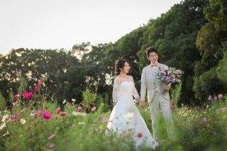 ip-one_ドレスロケーションvo4