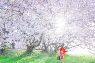 ip-one_ピックアップフォト和装