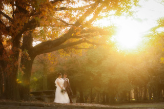 ip-one_ドレスロケーションvo4