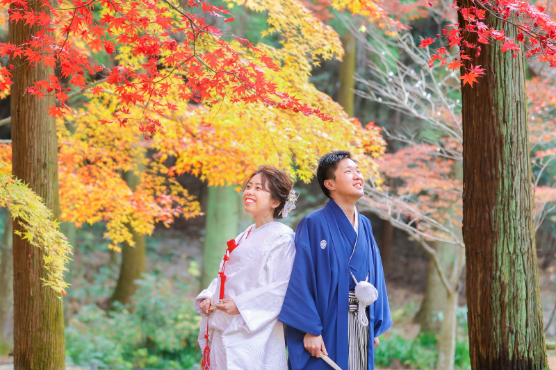 季節に応じてロケ場所のご提案を行っています