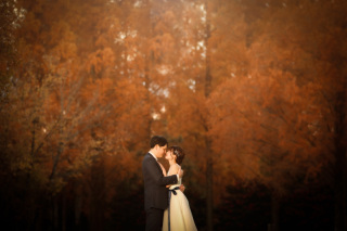 ip-one_ピクアップフォト洋装