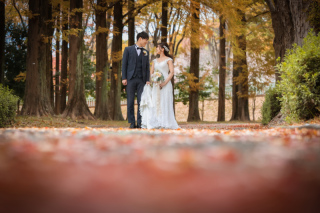 ip-one_ドレスロケーションvo5