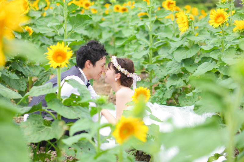 ひまわりに囲まれて！