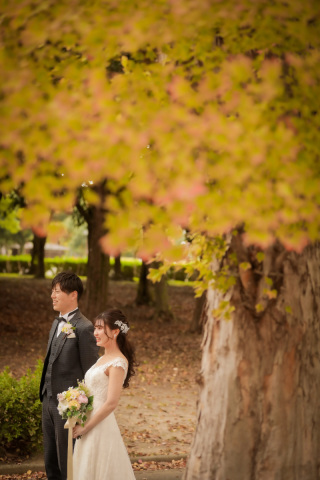 ip-one_ドレスロケーションvo4