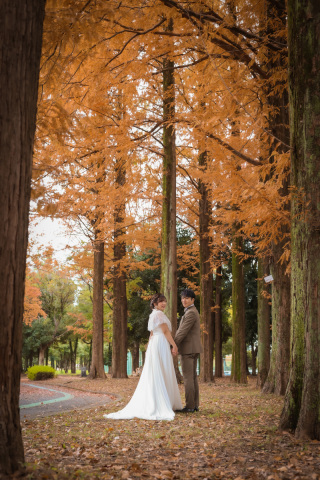 ip-one_ドレスロケーションvo3