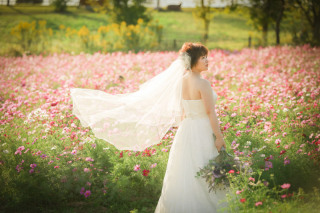 ip-one_ドレスロケーションvo3