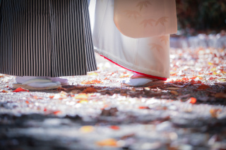 ip-one_和装ロケーションvo2