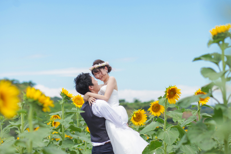 場所を移動してのひまわり撮影！