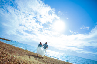 夏の海ロケ・ひまわりロケ撮影