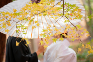 ip-one_和装ロケーションvo2