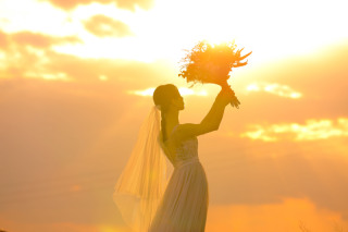 ip-one_ドレスロケーションvo4