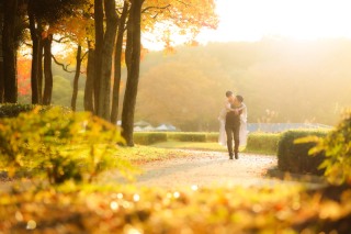 ip-one_ドレスロケーションvo5