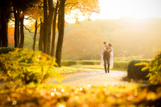 ip-one_ピクアップフォト洋装