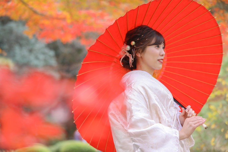 ip-one_白無垢が豊富