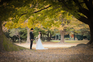 ip-one_ドレスロケーションvo5