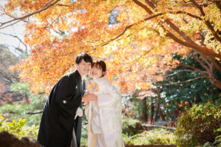 ip-one_和装ロケーションvo2